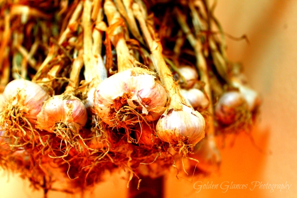 garlic art
